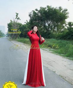 Áo dài thiết kế cao cấp Hồng Ngọc mã T292 Hoàng Cẩm Chi