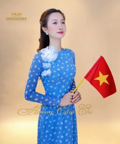 Áo dài thiết kế mã Thanh Xuân T340 Hoàng Cẩm Chi