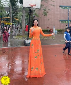 Áo dài thiết kế mã T191 Hoàng Cẩm Chi