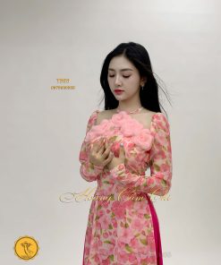 Áo dài thiết kế Tịnh Hồng mã T393 Hoàng Cẩm Chi