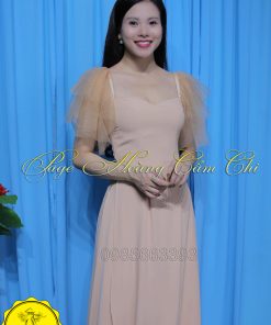 Áo dài thiết kế mã T101 Hoàng Cẩm Chi