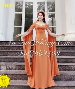Áo dài thiết kế mã T102 Hoàng Cẩm Chi