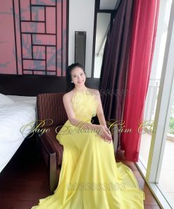 Áo dài thiết kế mã T147 màu vàng Hoàng Cẩm Chi