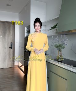 Áo dài thiết kế mã T164 Hoàng Cẩm Chi