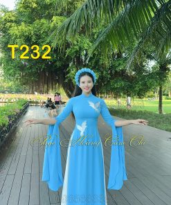Áo dài thiết kế Thiên Thanh Vũ mã T232 Hoàng Cẩm Chi