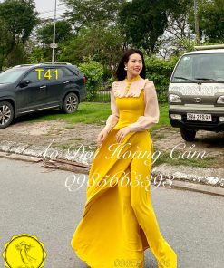 Áo dài thiết kế mã T41 Hoàng Cẩm Chi