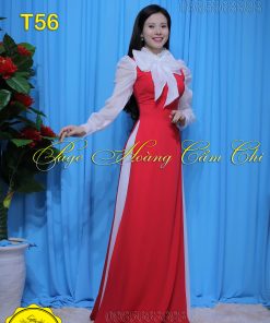 Áo dài thiết kế mã T56 Hoàng Cẩm Chi
