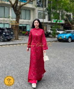 Áo dài cách tân mã T414 Hoàng Cẩm Chi