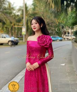 Áo dài thiết kế Yến Chi mã T433 Hoàng Cẩm Chi