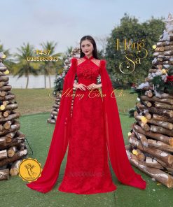 Áo dài thiết kế Hồng Sa T437 Hoàng Cẩm Chi