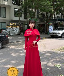 Áo dài thiết kế Việt Phục mã T463 Hoàng Cẩm Chi